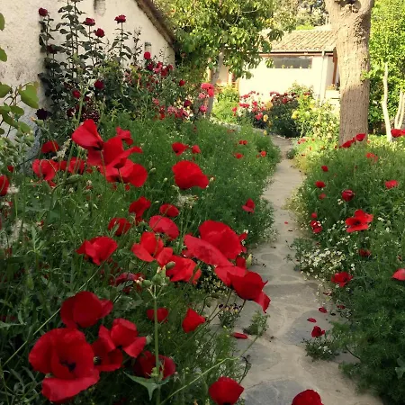 Tatil Evi Garden House Selçuk