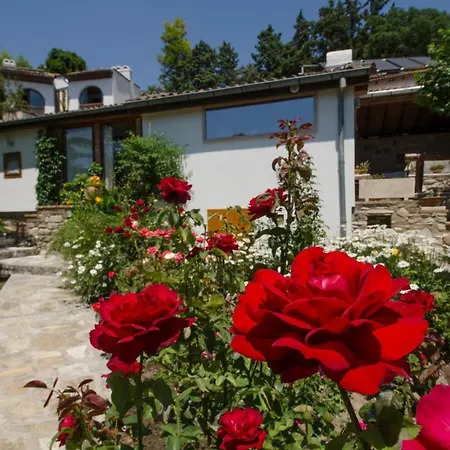 Garden House Tatil Evi Selçuk