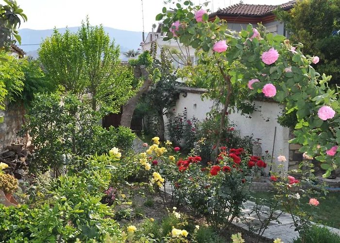 Garden House Дом отдыха