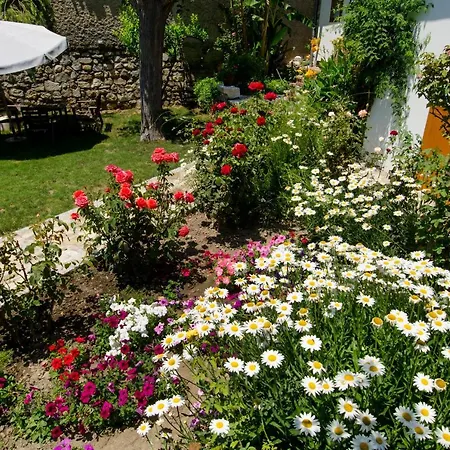 בית נופש Garden House